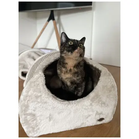 Klicka för större bild