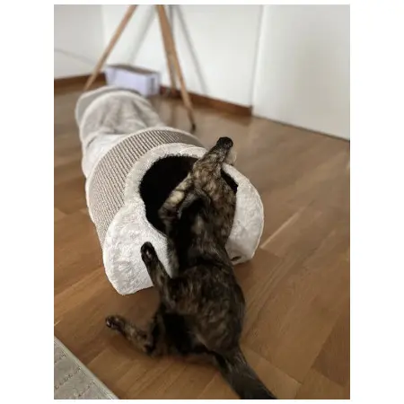 Klicka för större bild
