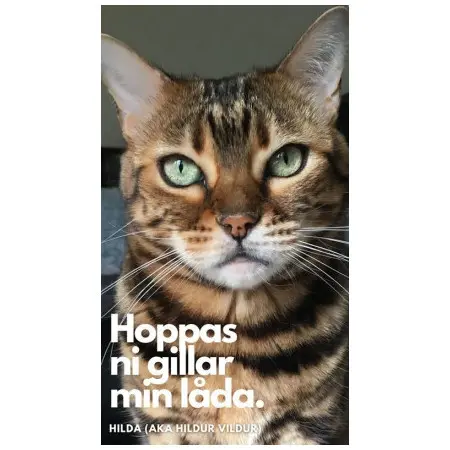 Klicka för större bild