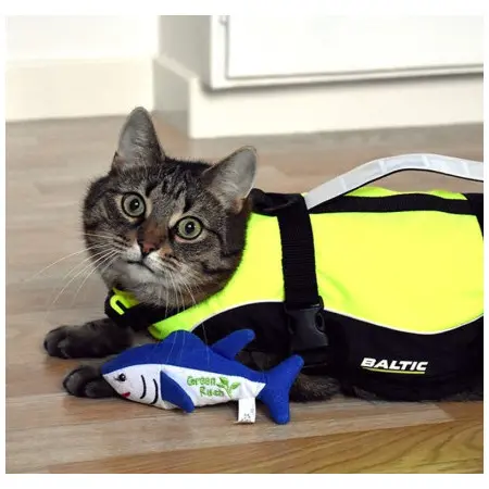 Klicka för större bild