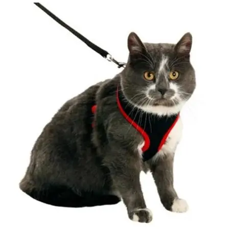 Klicka för större bild