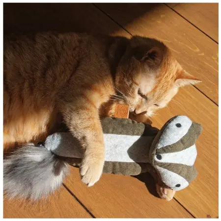 Klicka för större bild