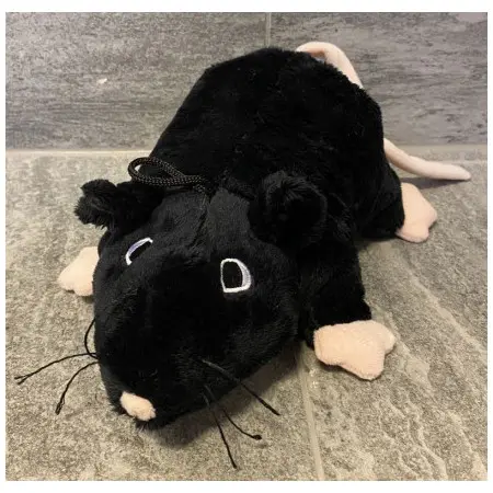 Klicka för större bild