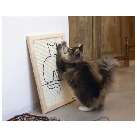Klicka för större bild