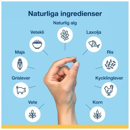 Klicka för större bild