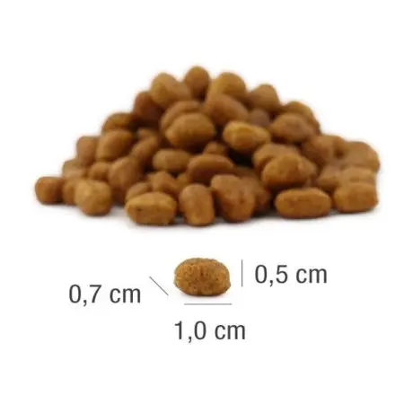 Klicka för större bild