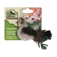 Backyard Fågel med ljud