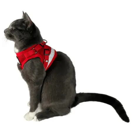 Klicka för större bild