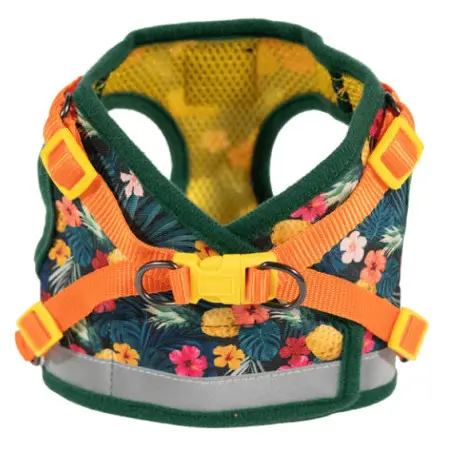 Klicka för större bild