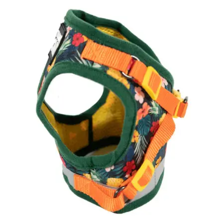 Klicka för större bild