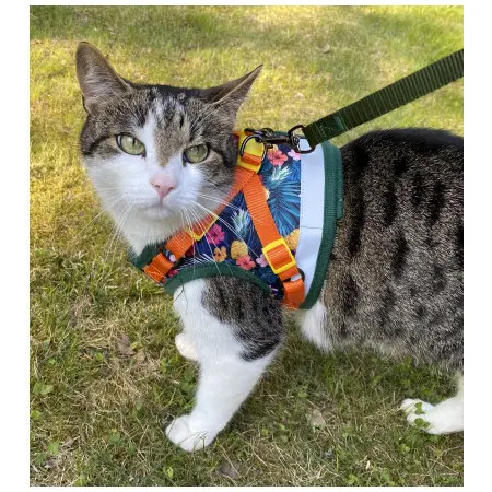 Klicka för större bild