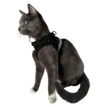 Klicka för större bild