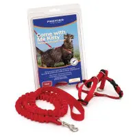 Come with me Kitty kattsele svart - Medium