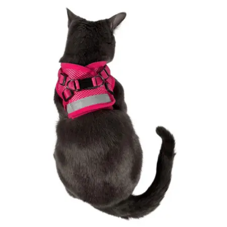 Klicka för större bild