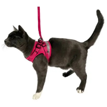 Klicka för större bild