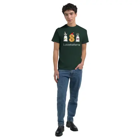 Klicka för större bild