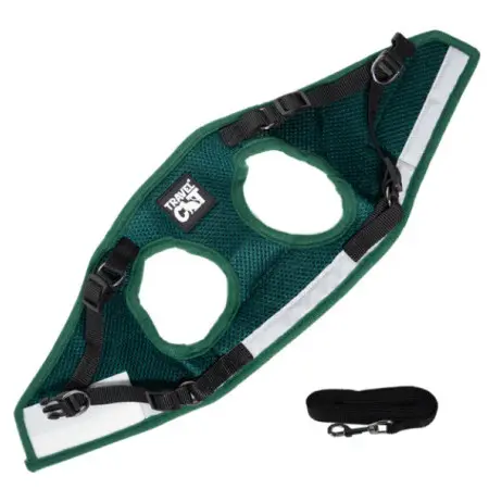 Klicka för större bild