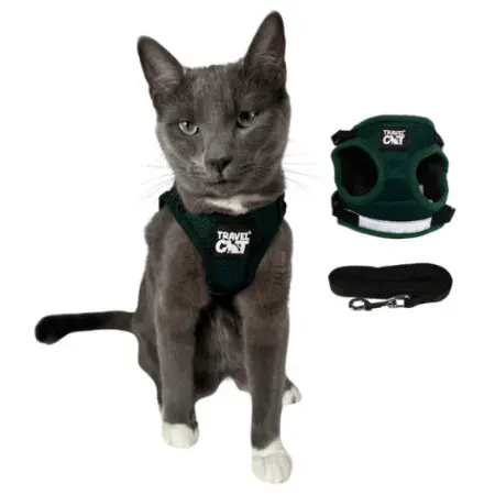 Klicka för större bild