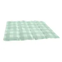 Kylmatta Rutig Turkos 50x90cm