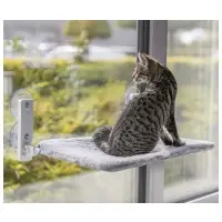 Fönsterbädd katt - kattsäng med sugproppar