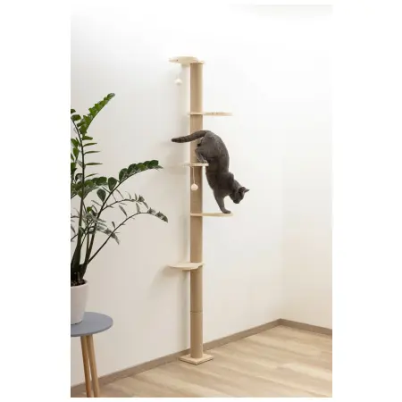 Klicka för större bild