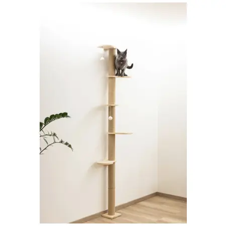 Klicka för större bild