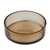 Kattmatskål Dawn Glass Champagne