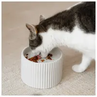 Kattmatskål upphöjd, Sense maräng