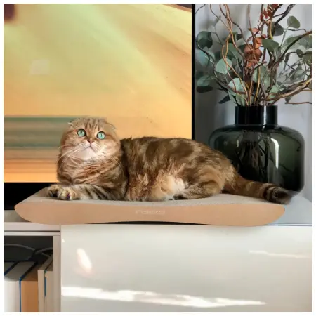 Klicka för större bild