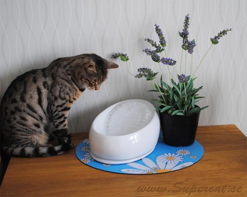 Lucky-Kitty keramik vattenfontän vit